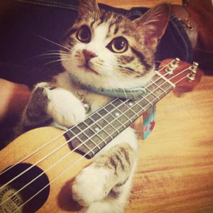 50岁女人裸体毛茸毛
